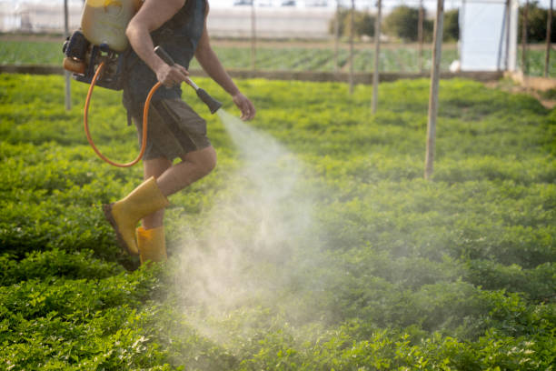 Best Residential Pest Control  in Glendale, MS