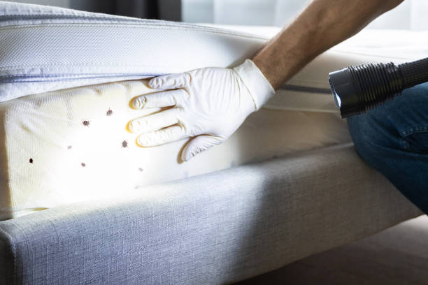 Best Emergency Pest Control  in Glendale, MS